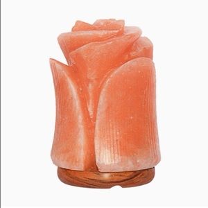 NWT Himalayan Salt Lamp Tulip Flower Shape